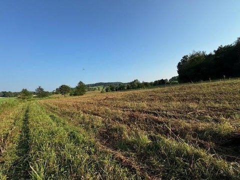 Wooded and Fenced Farmland