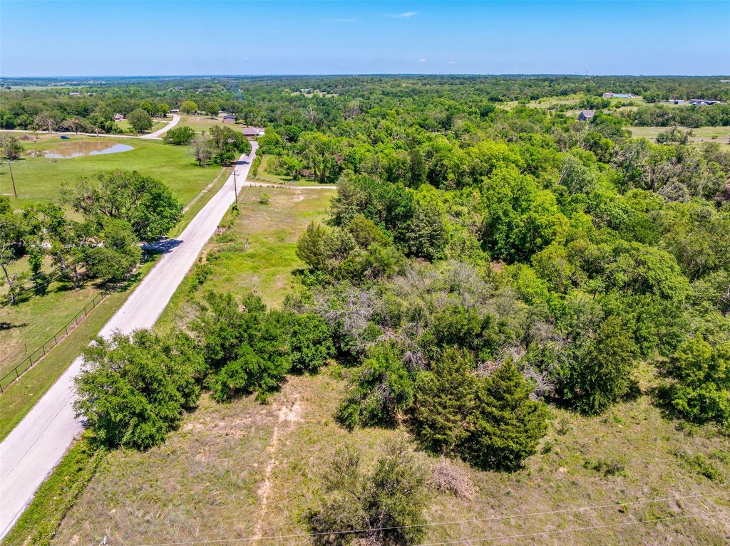 Picture 19