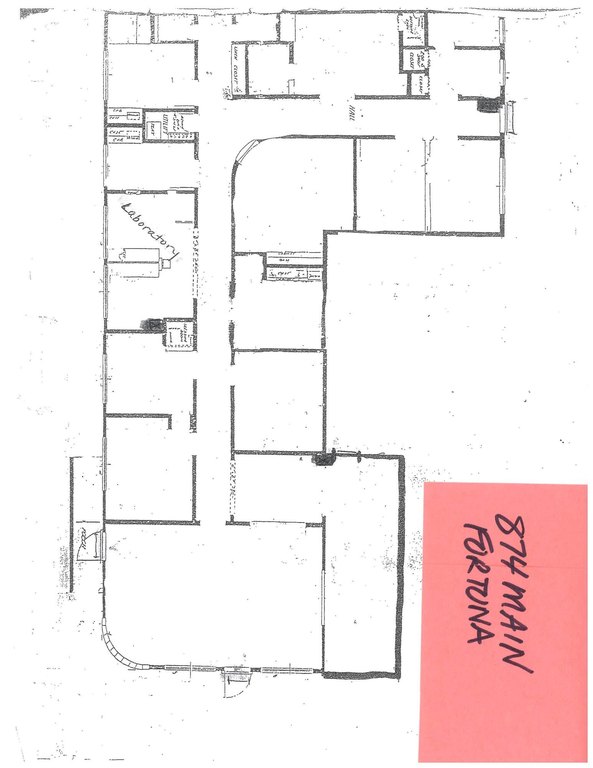 Picture 7