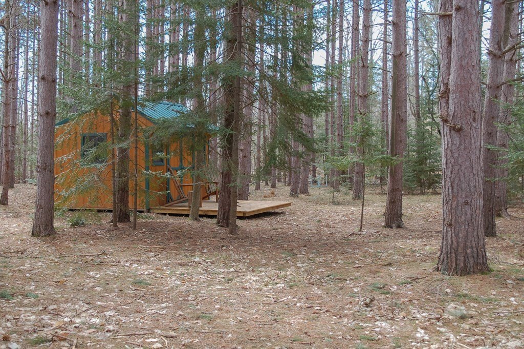 Picture 2