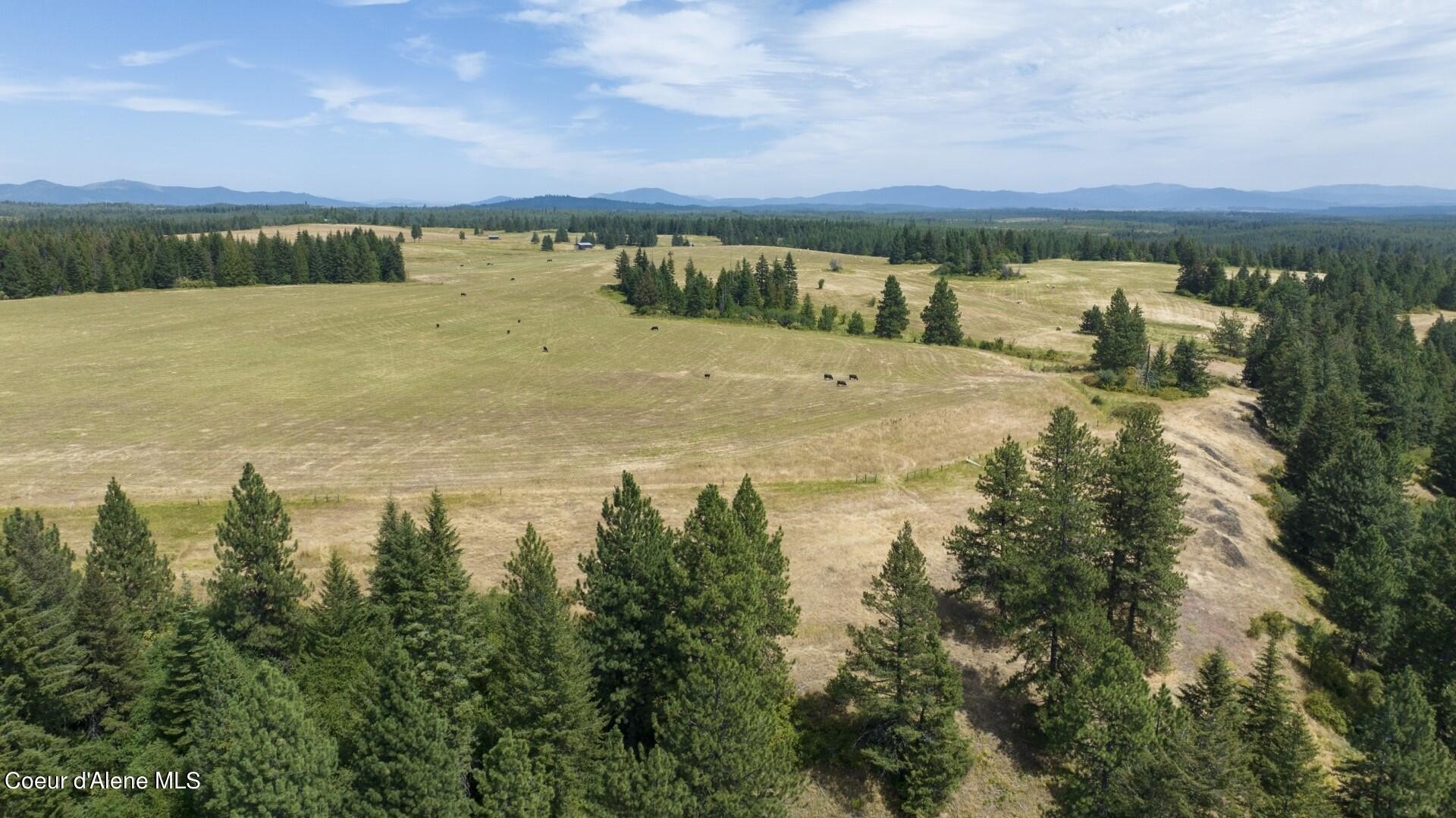 Agricultural Land in Weippe, ID