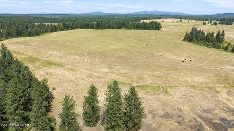 Agricultural Land in Weippe, ID