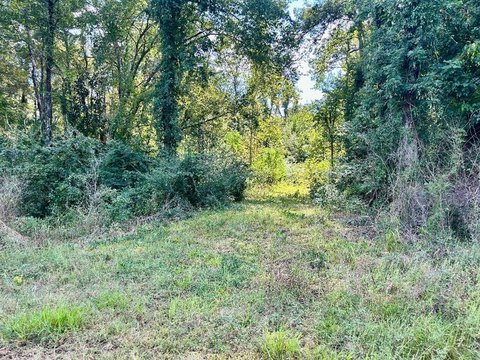 Residential Land in Atlanta, TX