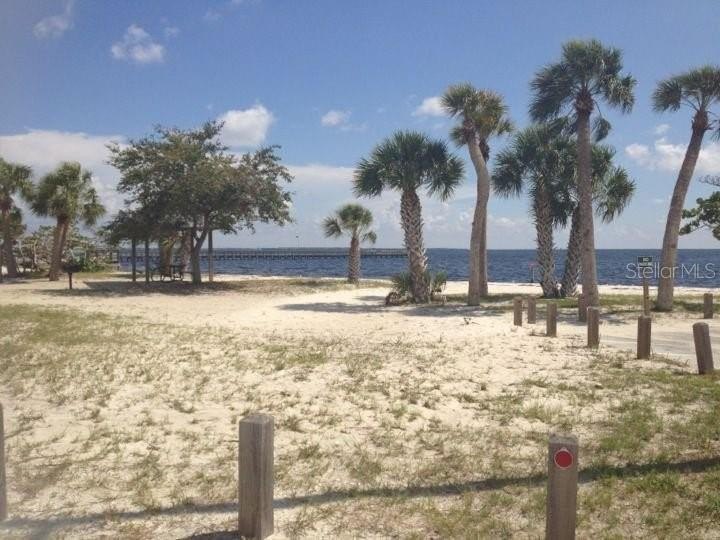 Picture 5