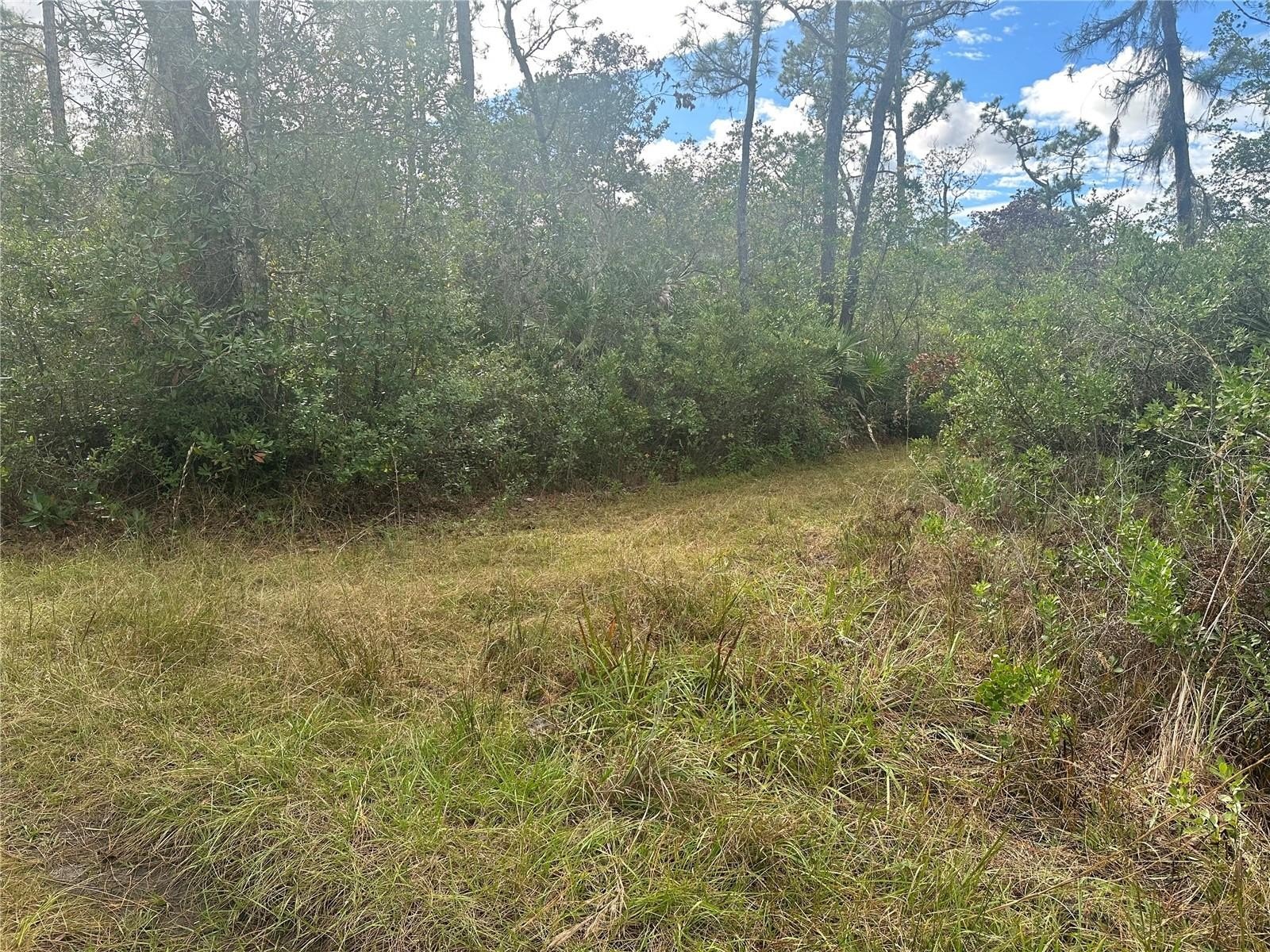 Residential Land in Christmas, Florida