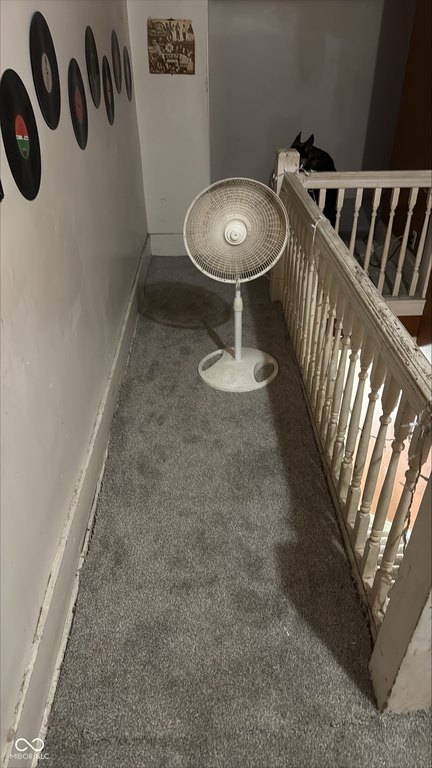 Picture 22