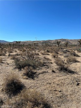 Apple Valley Land with Views