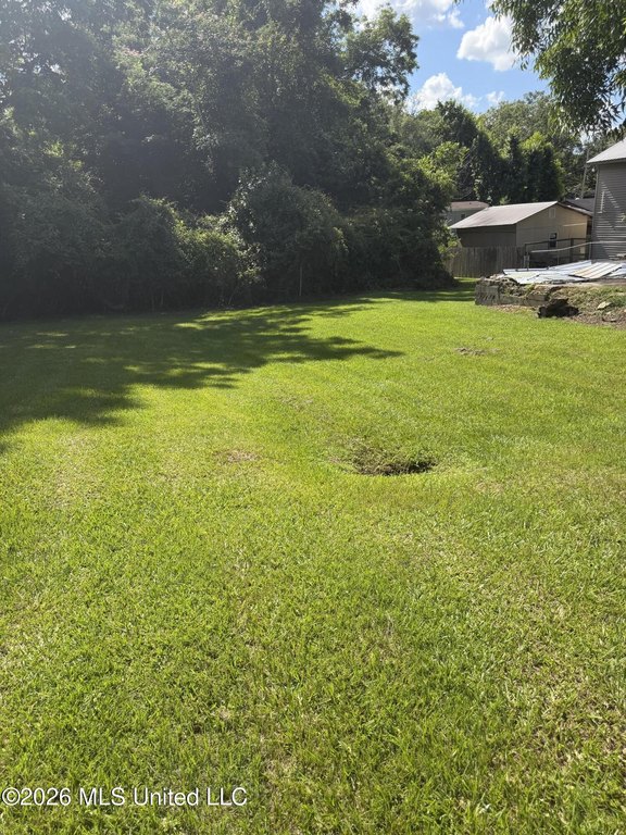 Picture 6