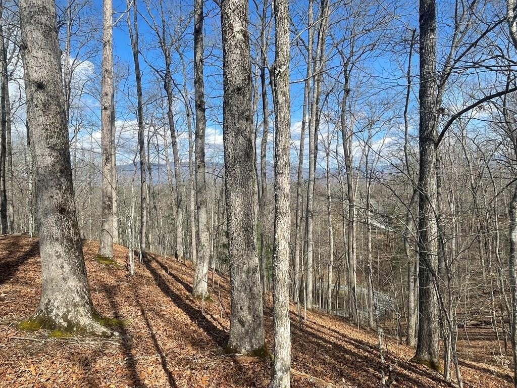Ridgetop Lot with Smoky Mountain Views