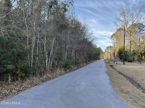 Hampton, SC Residential Land