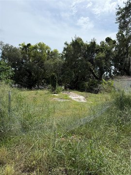 Land, LEESBURG, FL