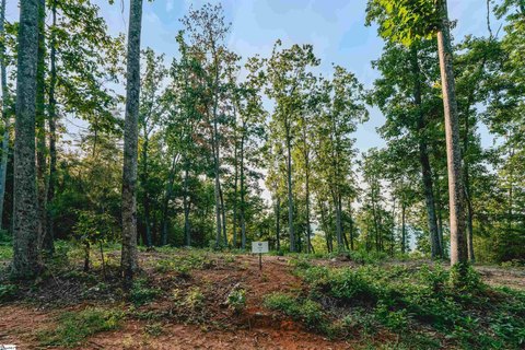 Lots/Land, Travelers Rest, SC