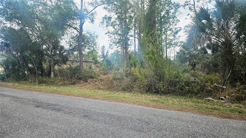 Oversized Double Lot Opportunity