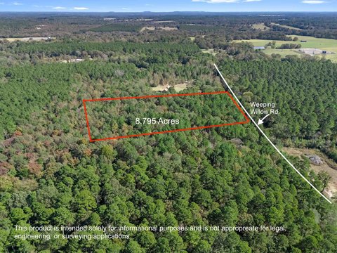 East Texas Timber Land