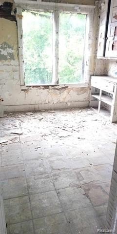 Picture 24