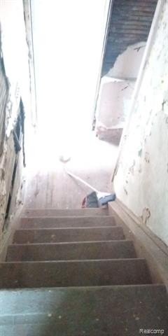 Picture 35