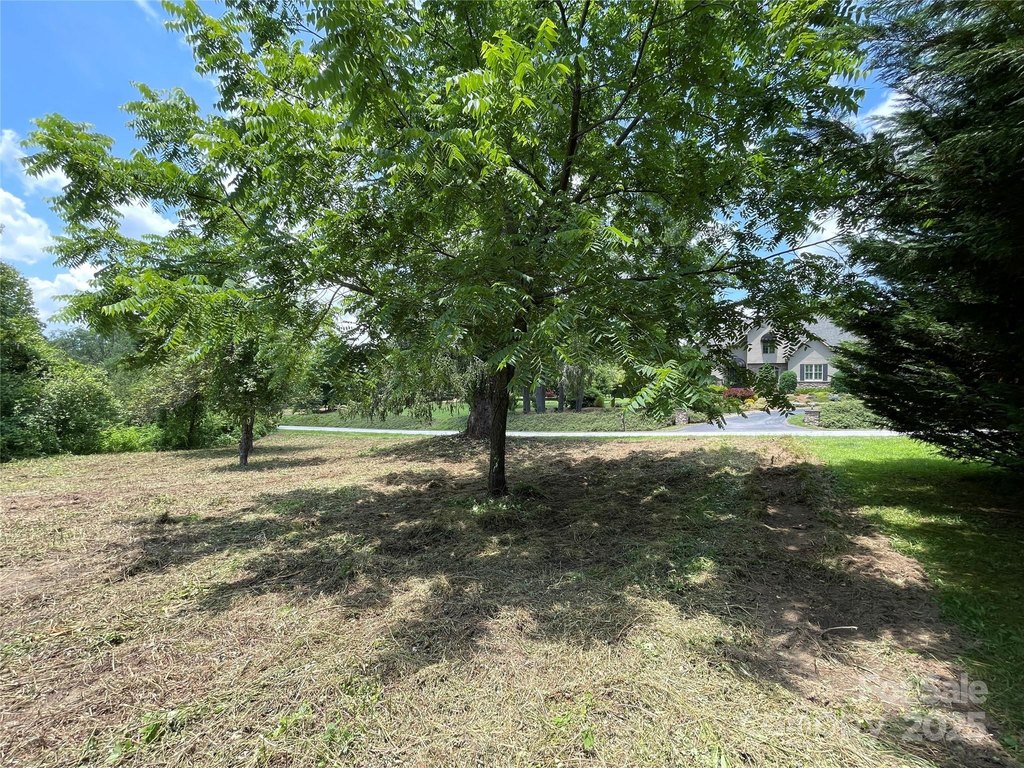 Picture 28