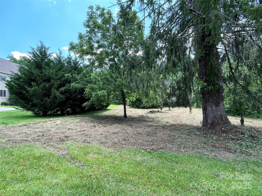 Picture 38