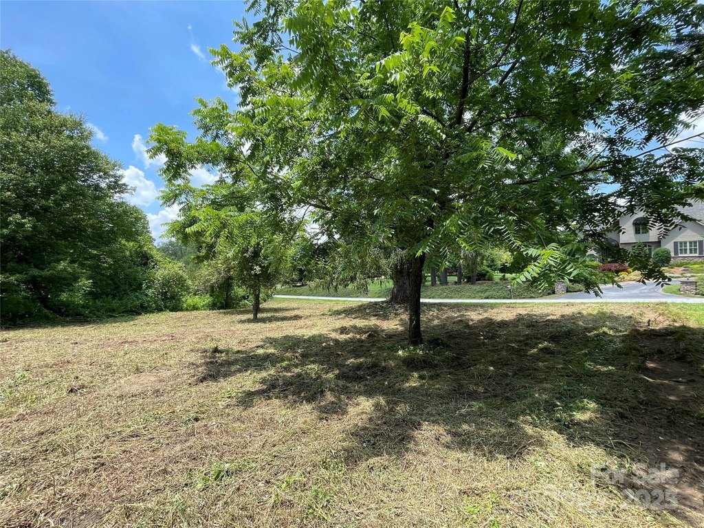 Picture 29