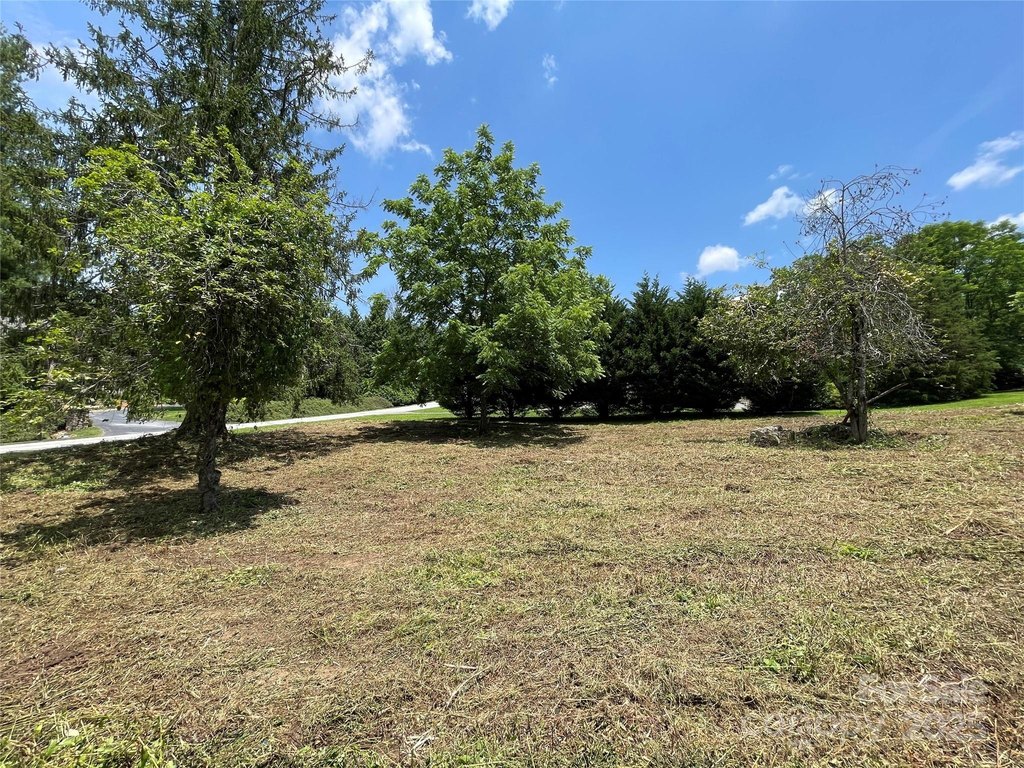 Picture 19