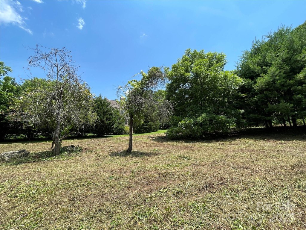 Picture 23