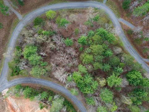 LAND - Ellijay, GA