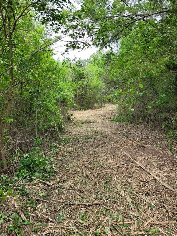 Picture 19
