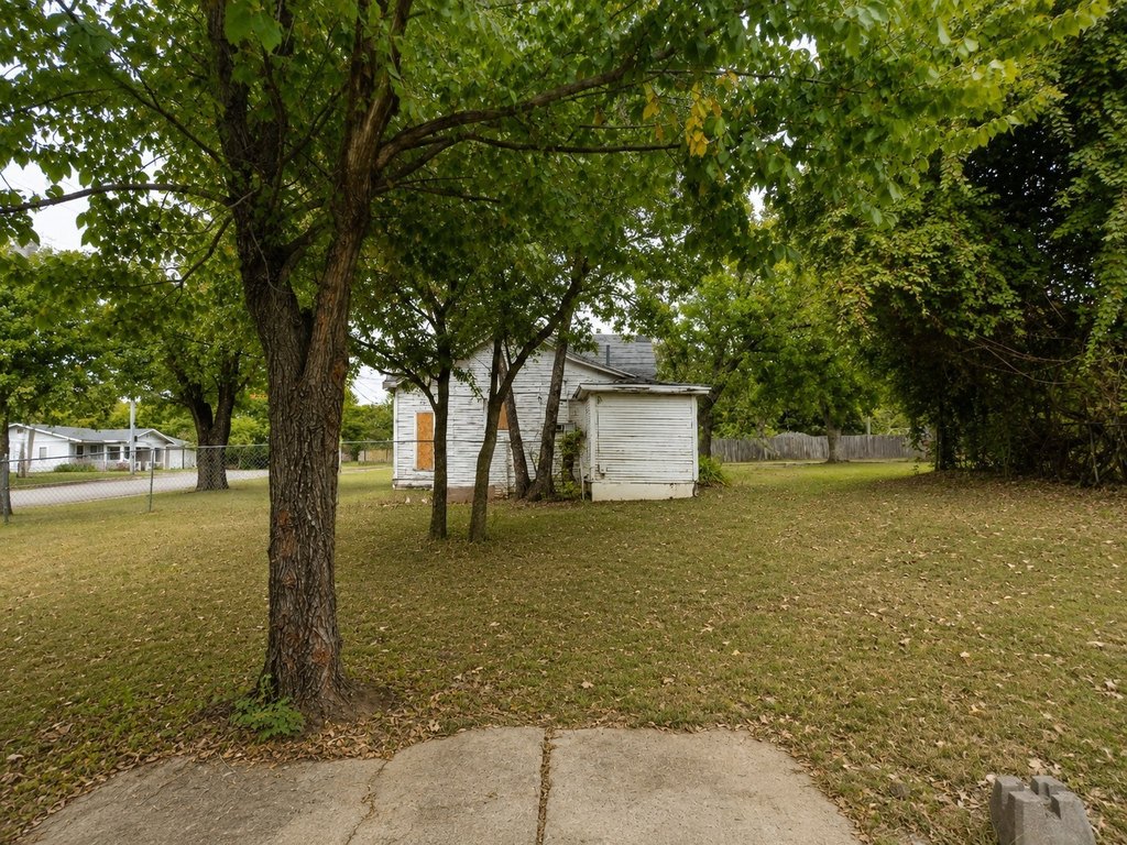 Picture 8