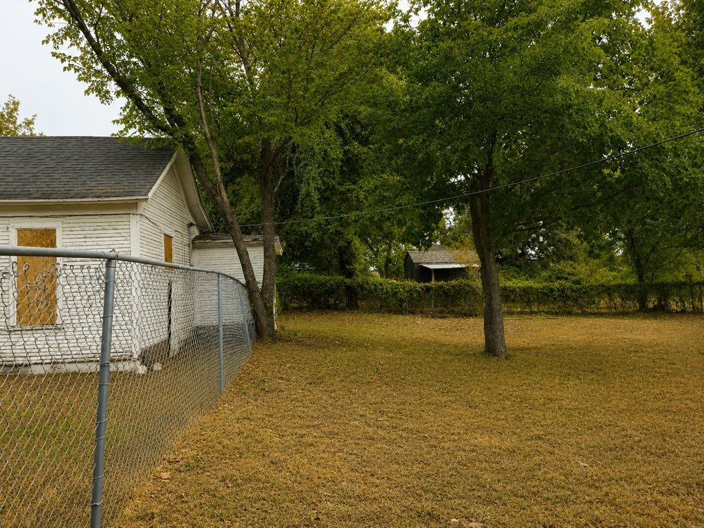 Picture 20