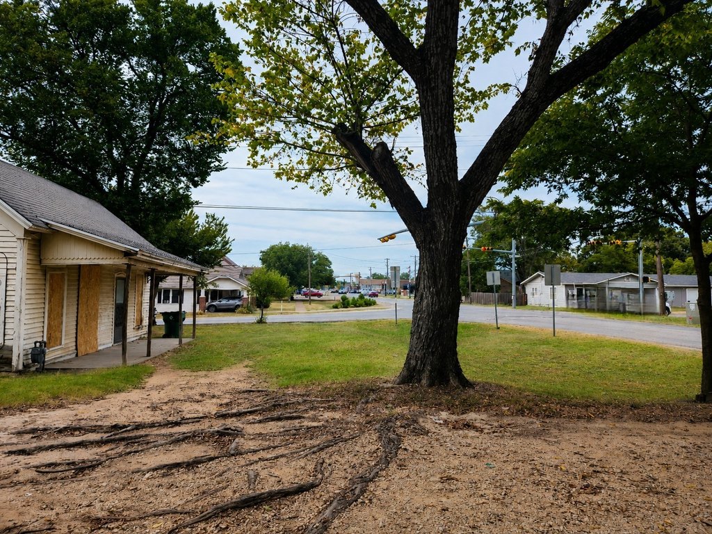 Picture 21
