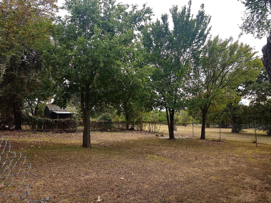 Picture 19