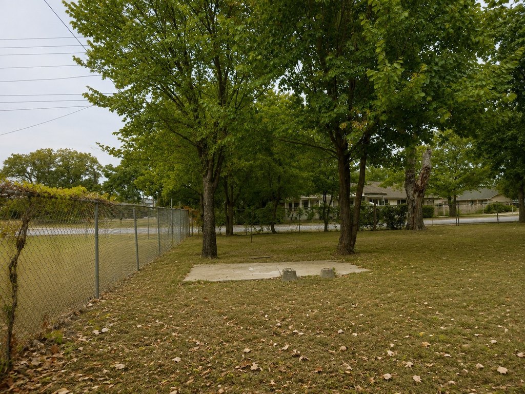 Picture 9