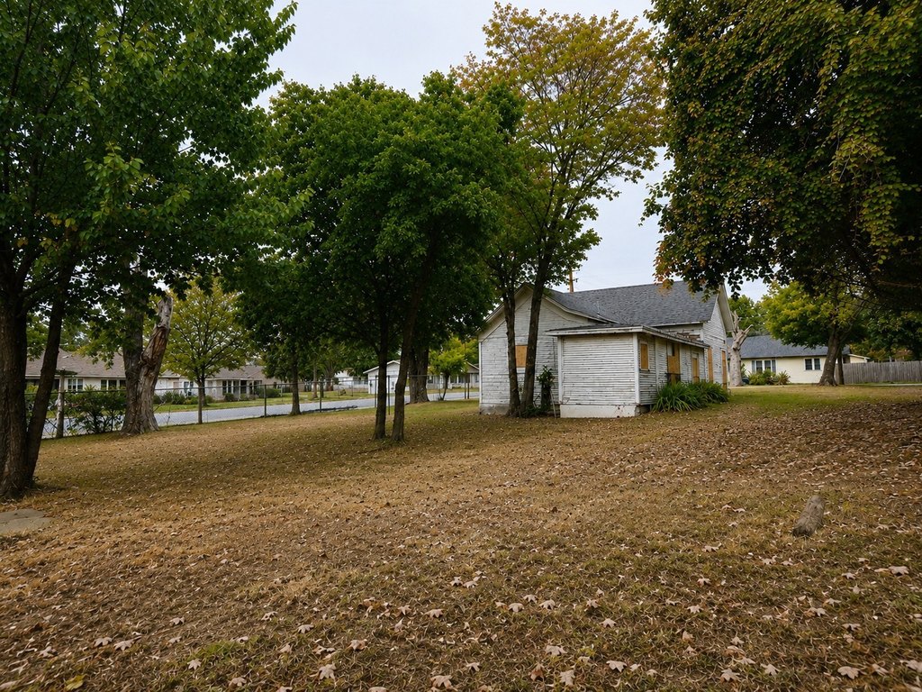 Picture 11