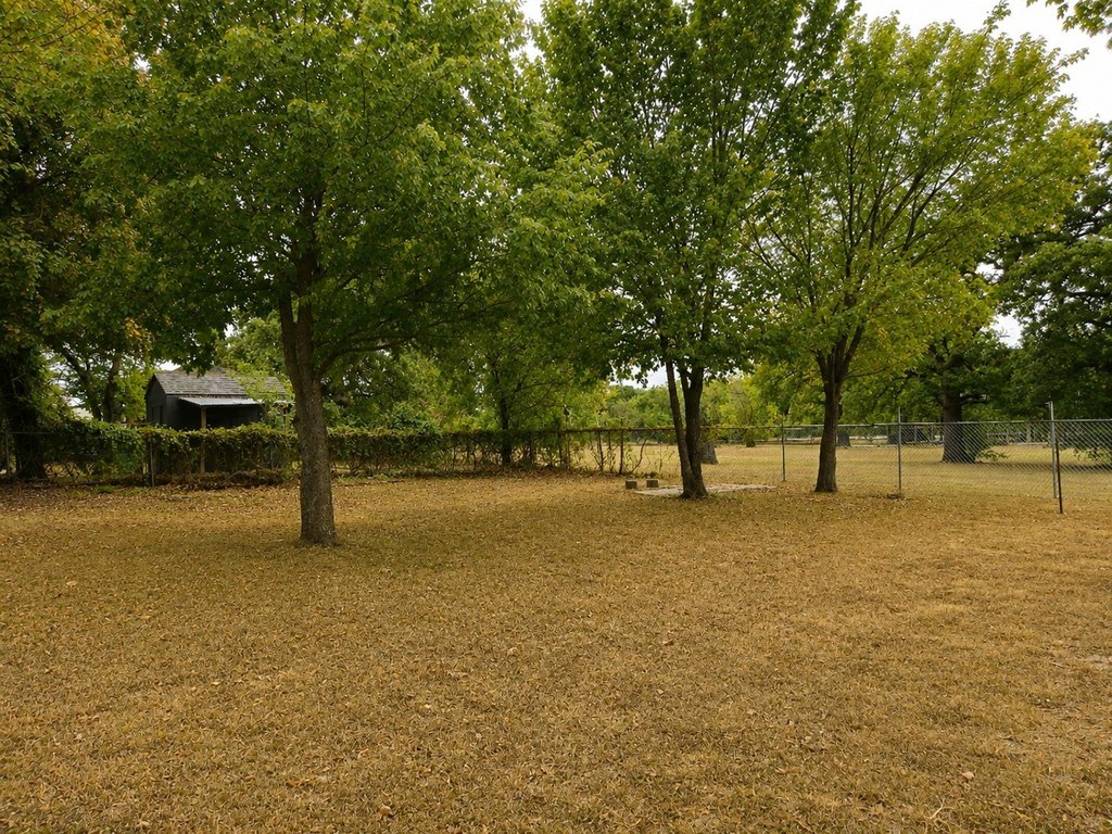 Picture 12