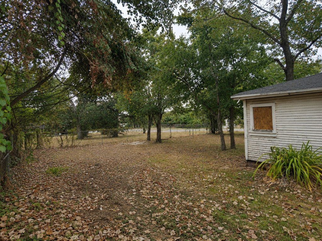 Picture 6