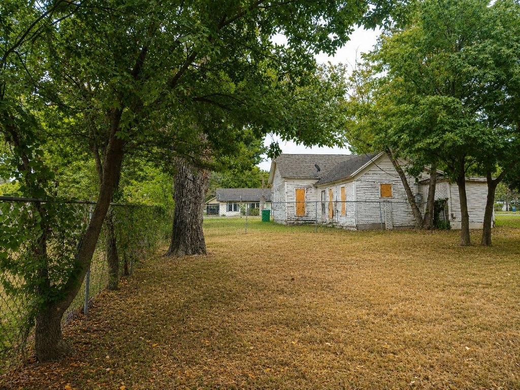 Picture 14