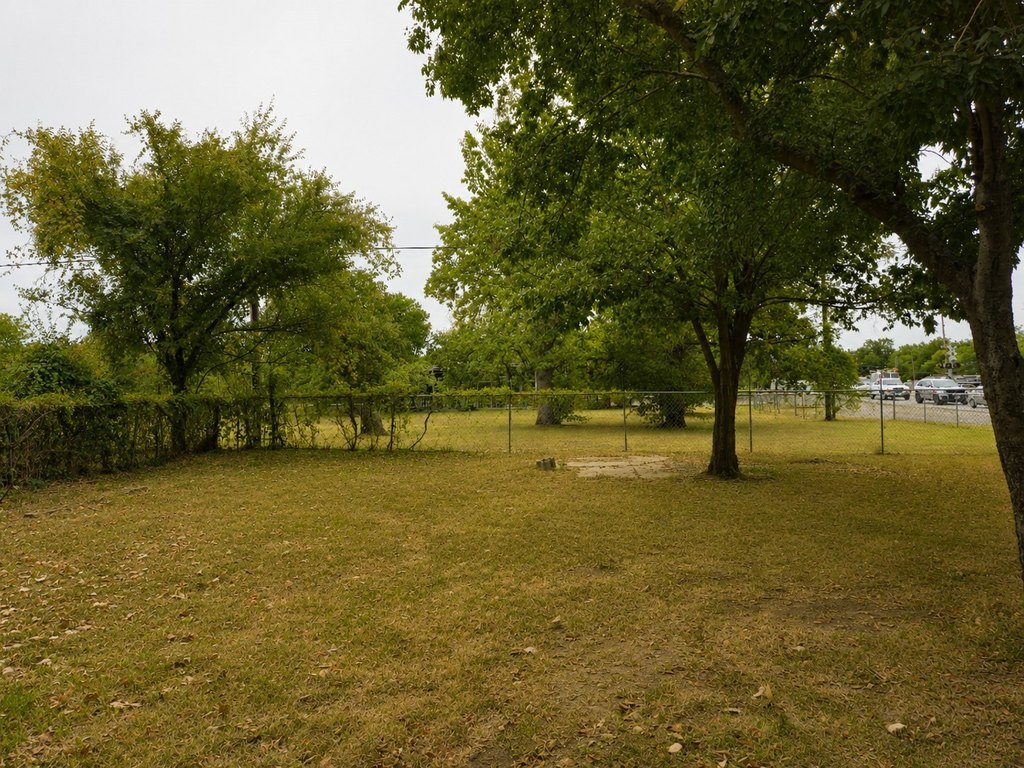 Picture 18