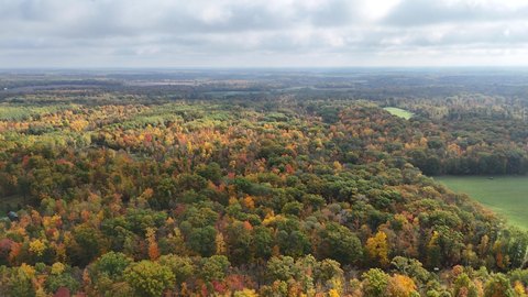 Wooded Hunting Land