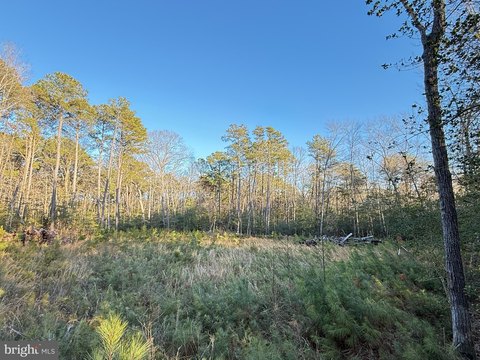 LAND - VALLEY LEE, MD