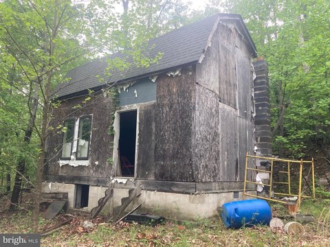 Cabin Project on Wooded Land