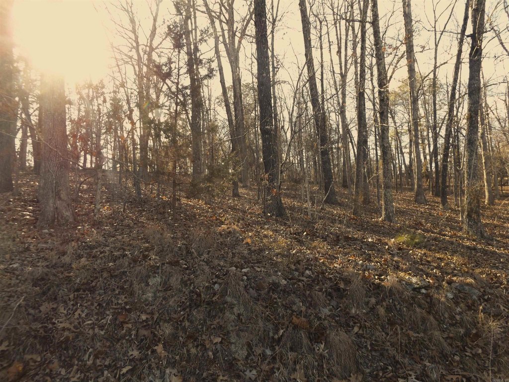 Picture 8