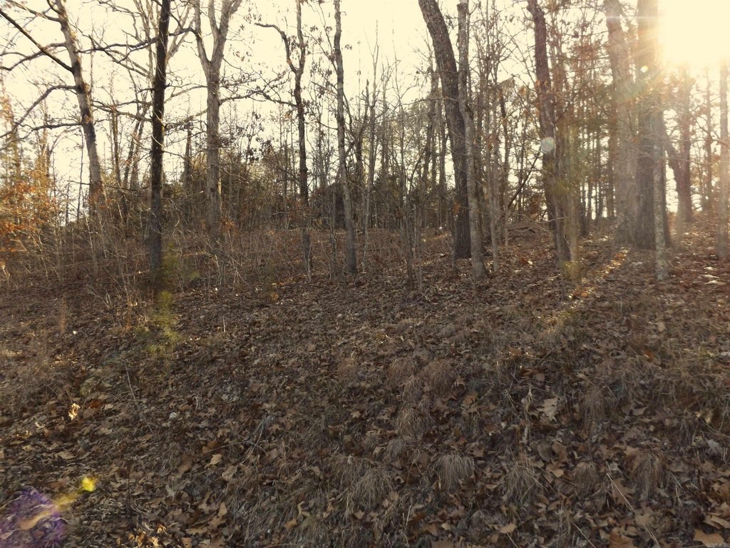 Picture 7