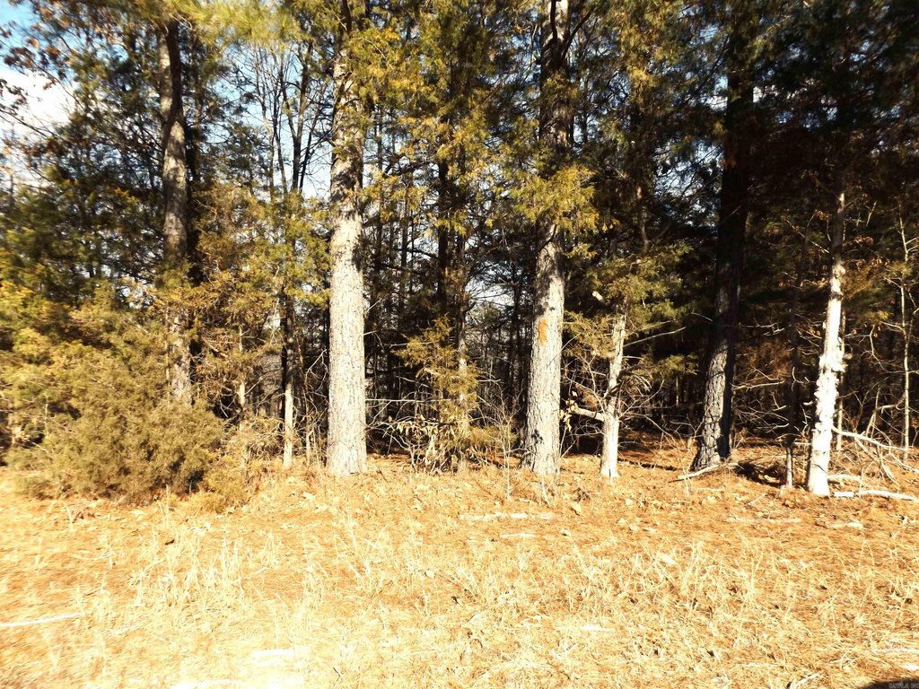 Picture 3