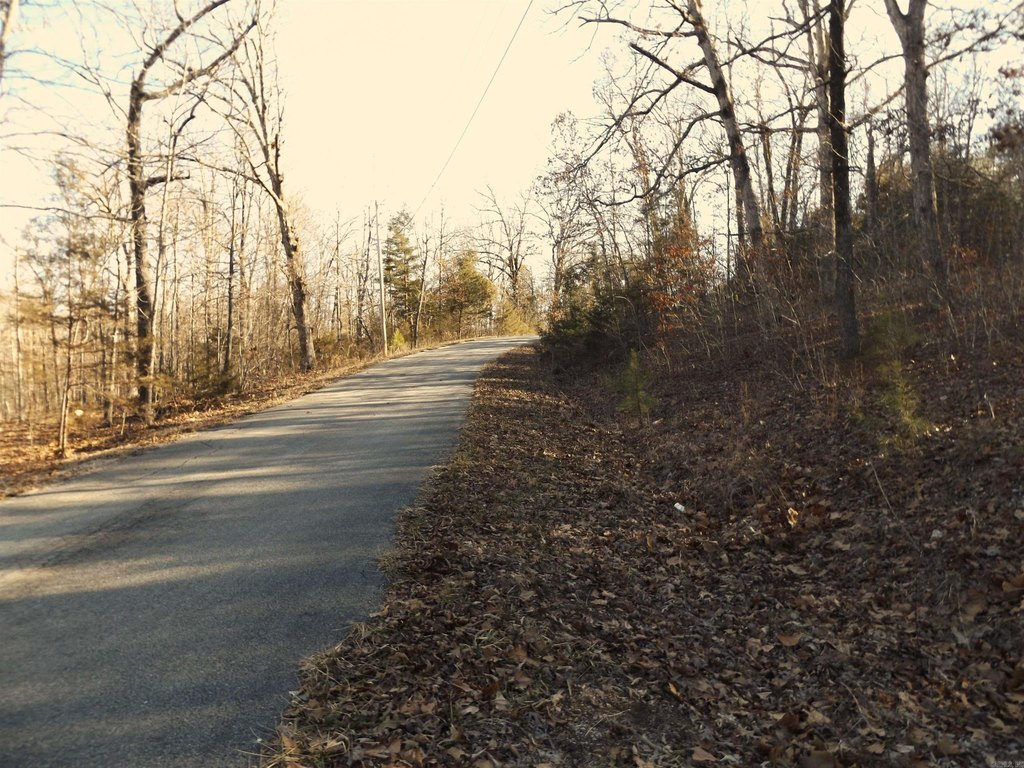 Picture 11