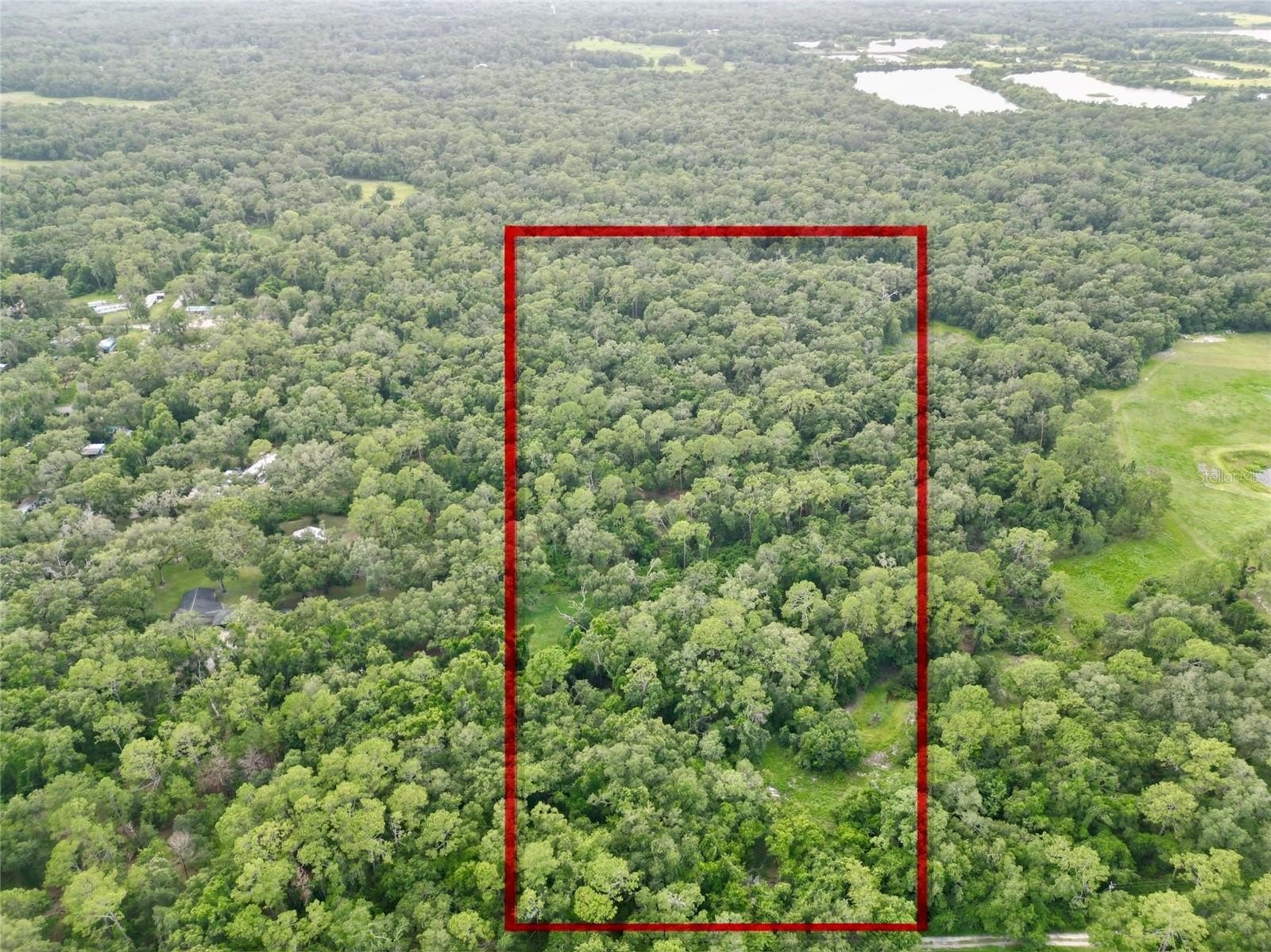 20 Acres of Untouched Land