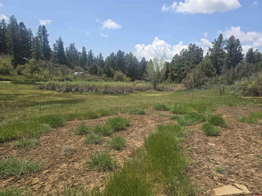 Land in Pagosa Springs, CO