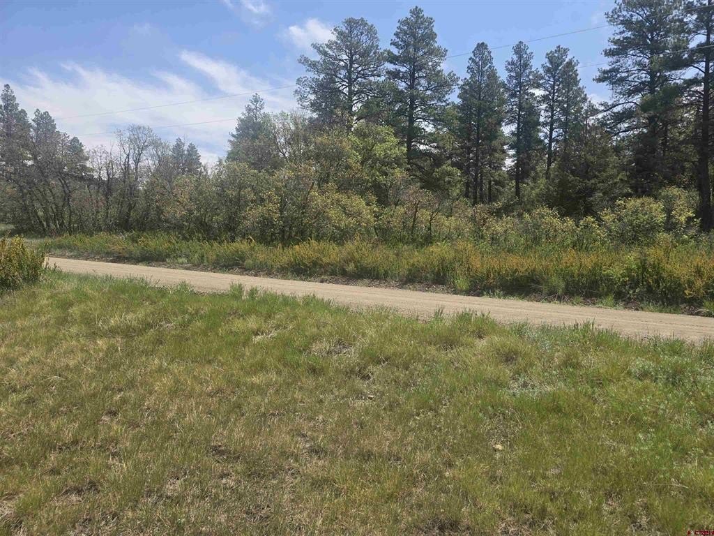 Picture 17