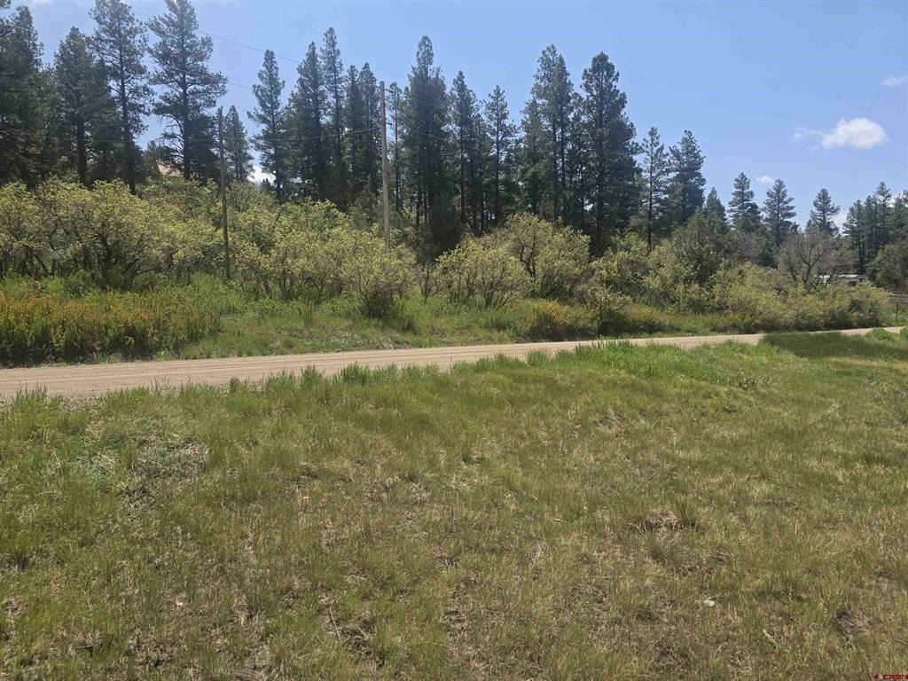 Picture 12