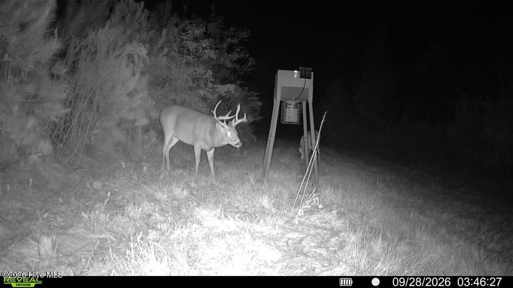 Picture 11