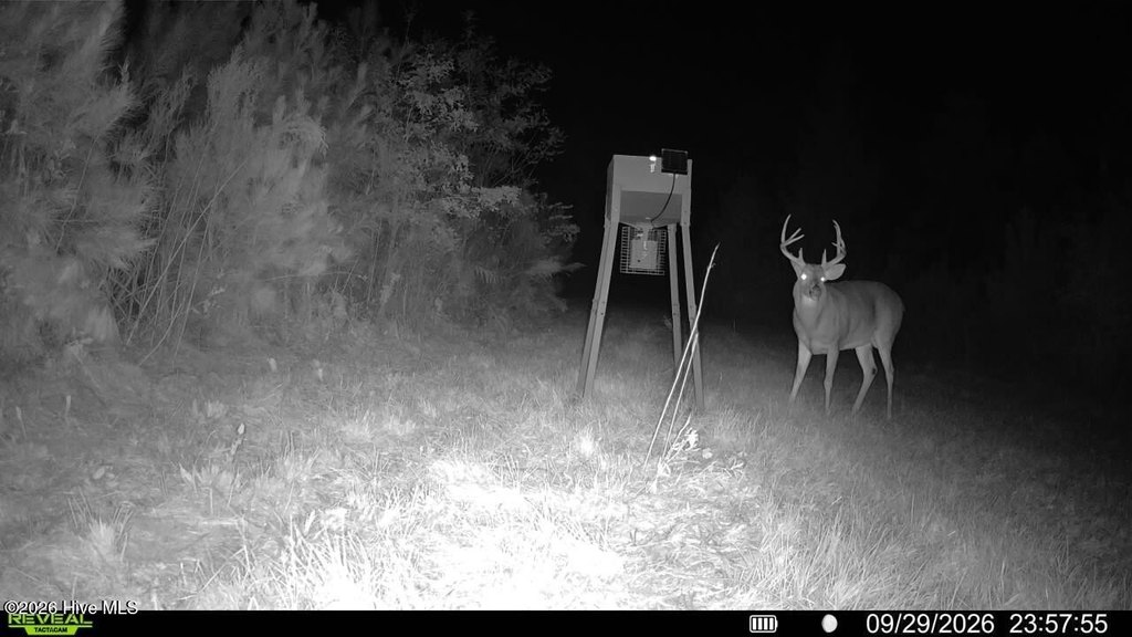 Picture 13